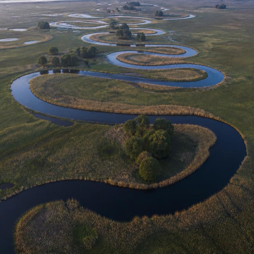 Intrygujące meandry polskiego języka