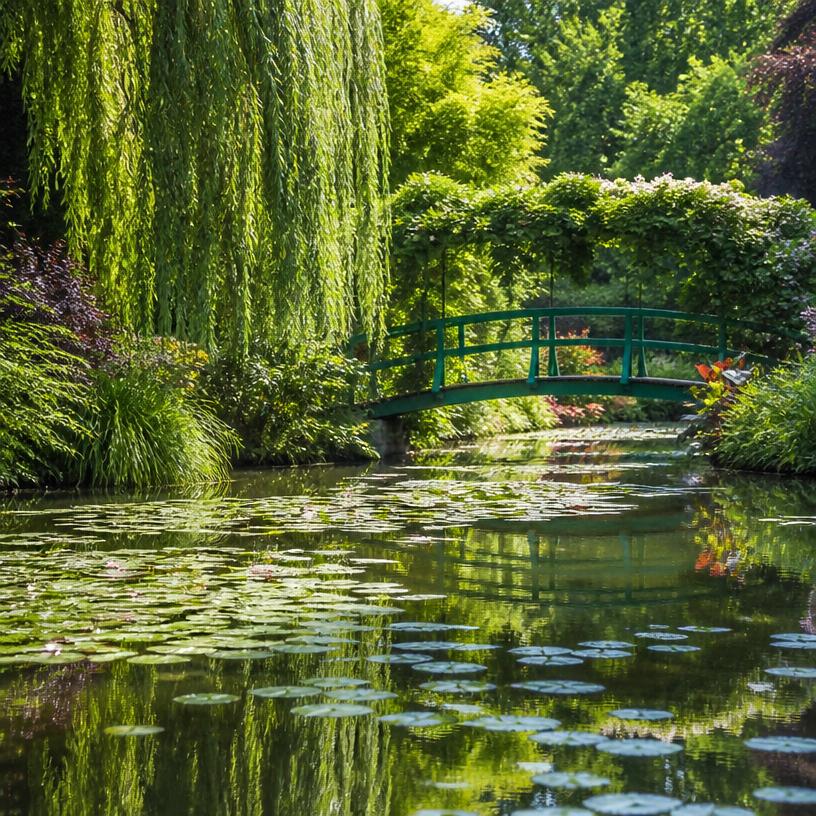 Monet i ogród światła