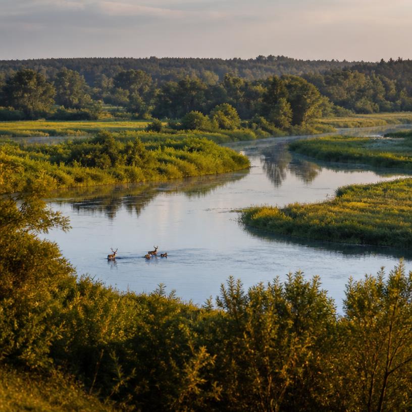 Polska natura, która zachwyca